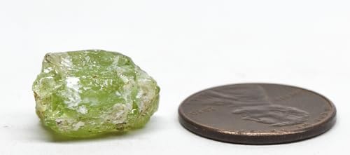 13ct 15mm Green Peridot Rough Gemstone - Natural Olivine Crystal Raw Specimen from Pakistan