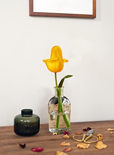 Serene Spaces Living 6 Pack Bud Vases for Decor