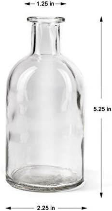 Serene Spaces Living 6 Pack Bud Vases for Decor