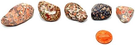 10PCS Leopardite Jasper Pebbles Natural Polished Indoor Fountain Stones