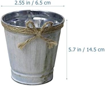 Zerodeko Vintage Iron Bucket Flowerpot Set