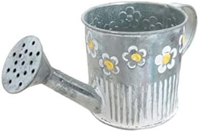 Iron Watering Pot Flower Vase for Home Decor