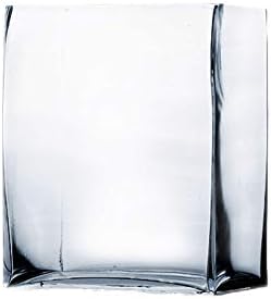 WGVI Glass Rectangle Block Vase 2x5x6 Inch