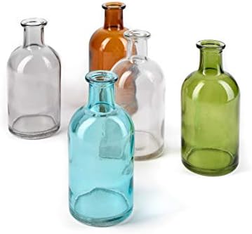 Serene Spaces Living 6 Pack Bud Vases for Decor