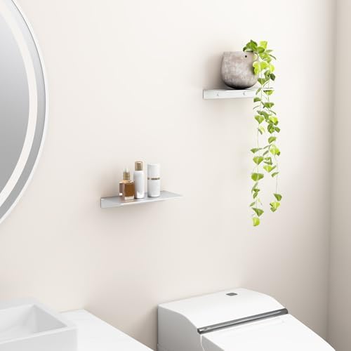 Danpoo 2PCS Silver Floating Shelves for Wall Storage