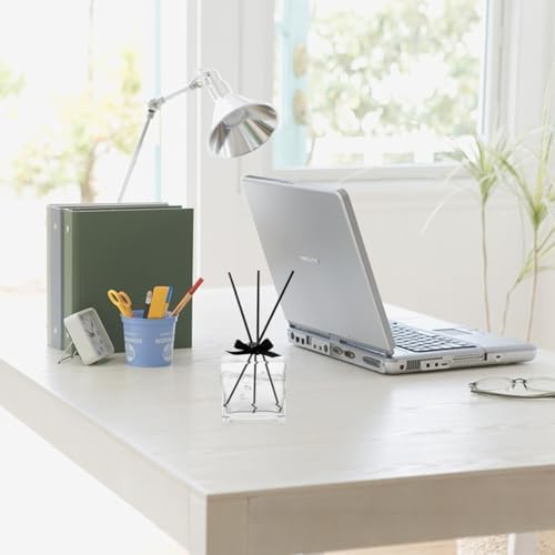 Square Flat Glass Aromatherapy Vase for Home Decor