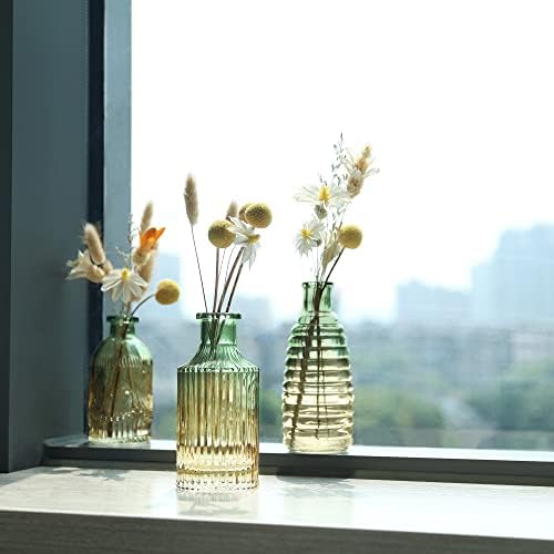 Joeyan Embossed Glass Vase Set of 3 Green and Amber