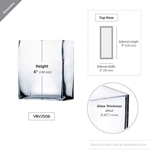 WGVI Glass Rectangle Block Vase 2x5x6 Inch