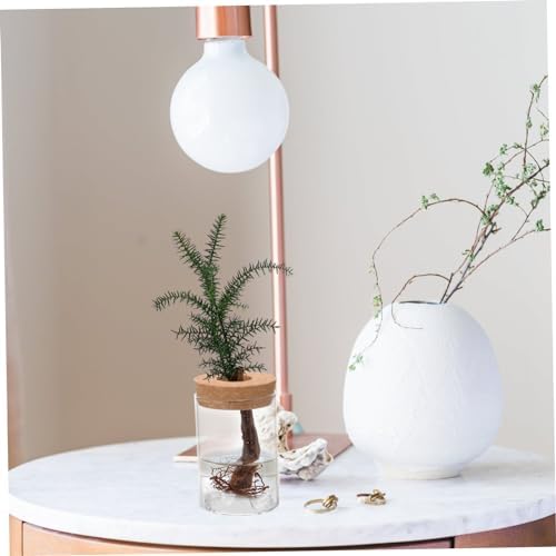 FUNOMOCYA Glass Vase Airtight Jar for Plants and Flowers