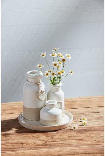 Mud Pie Connected Farm Vase Set of 3