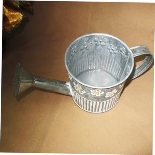 Iron Watering Pot Flower Vase for Home Decor