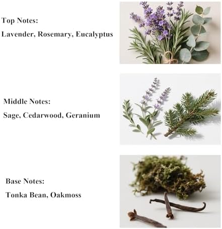 Aroma Lyric Lavender Reed Diffuser Oil Refill 1015oz
