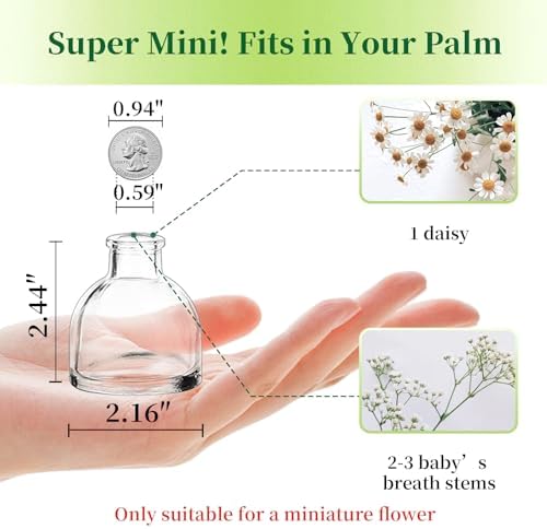 Hewory Mini Bud Vases Set 28pcs for Centerpieces