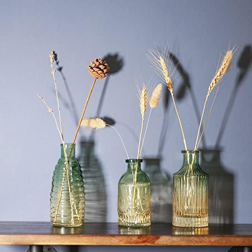 Joeyan Embossed Glass Vase Set of 3 Green and Amber