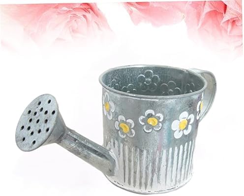 Iron Watering Pot Flower Vase for Home Decor