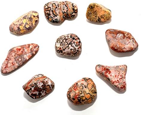 10PCS Leopardite Jasper Pebbles Natural Polished Indoor Fountain Stones