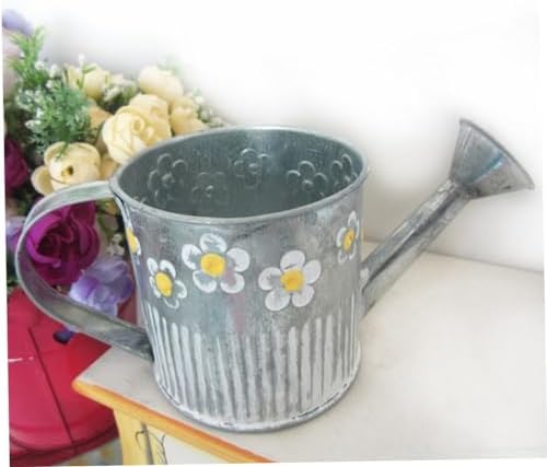 Iron Watering Pot Flower Vase for Home Decor