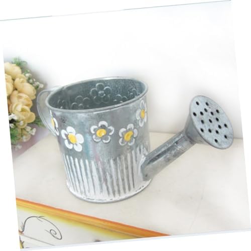 Iron Watering Pot Flower Vase for Home Decor