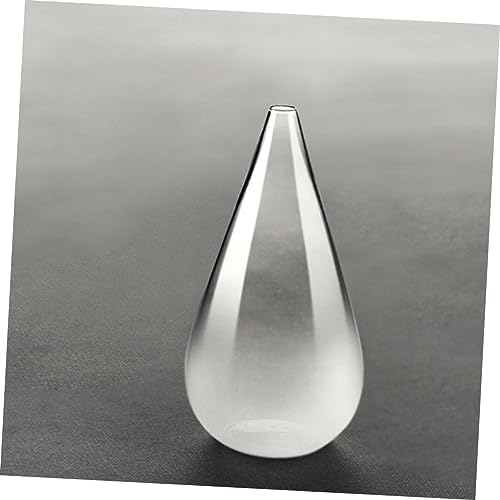 Alipis Transparent Glass Flower Vase for Home Decor