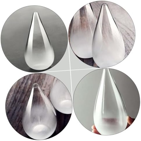 Alipis Transparent Glass Flower Vase for Home Decor