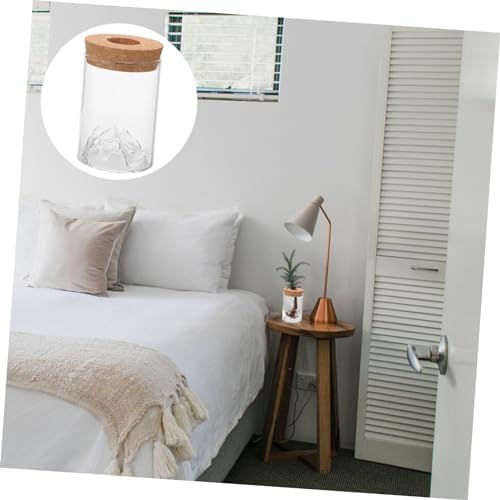 FUNOMOCYA Glass Vase Airtight Jar for Plants and Flowers