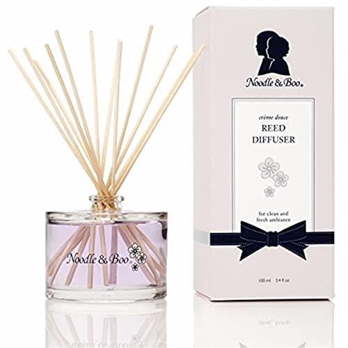 Noodle Boo Reed Diffuser 34 Fl Oz
