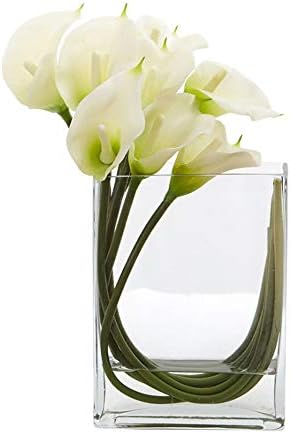 WGV Rectangle Block Vase 6x4x8 Inches Clear Glass
