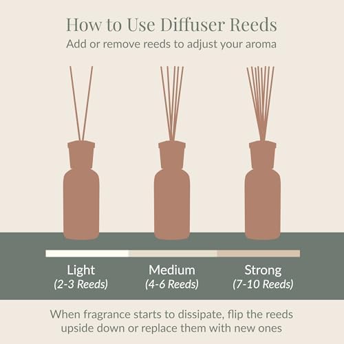 Archipelago Botanicals Charcoal Rose Diffuser Oil Refill 785 Fl Oz