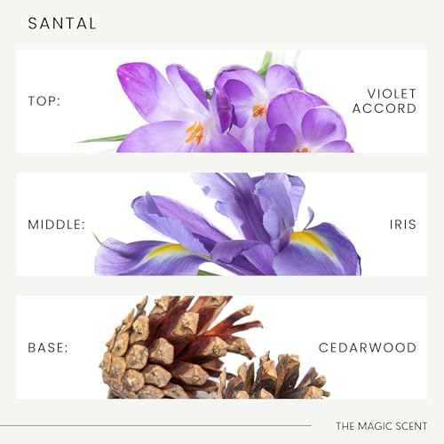 THE MAGIC SCENT Santal Diffuser Oil 10 mL
