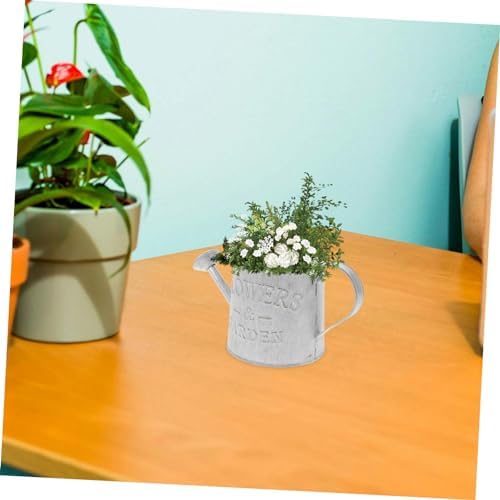 3pcs Rustic Bucket with Handle for Dried Flowers