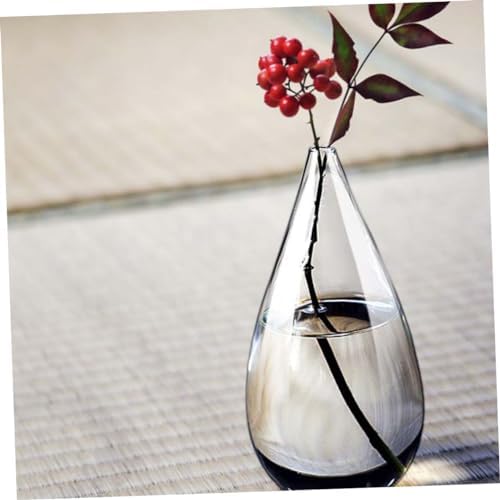 Alipis Transparent Glass Flower Vase for Home Decor