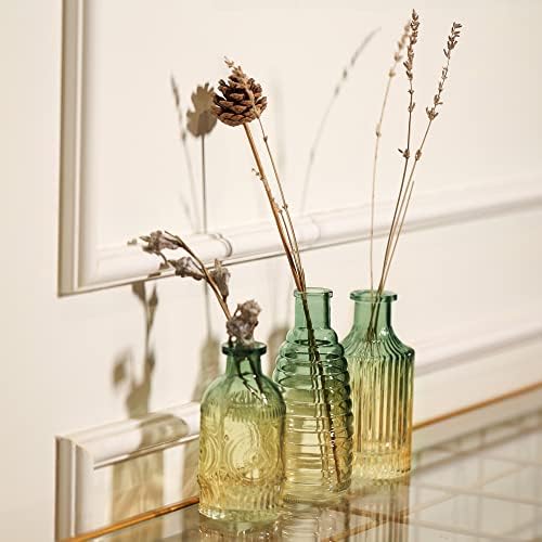 Joeyan Embossed Glass Vase Set of 3 Green and Amber