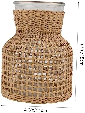 Woven Hydroponic Flower Vase for Modern Home Decor