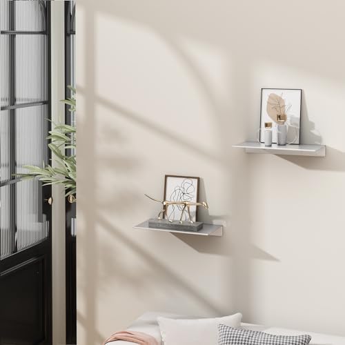 Danpoo 2PCS Silver Floating Shelves for Wall Storage