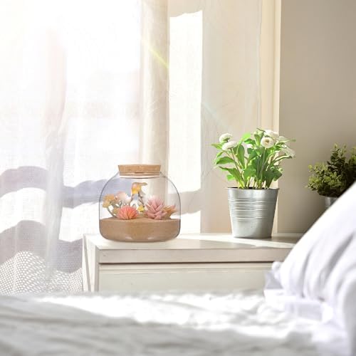 Happyyami Glass Terrarium Jar with Wood Cork