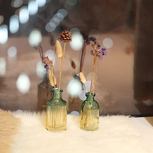 Joeyan Embossed Glass Vase Set of 3 Green and Amber