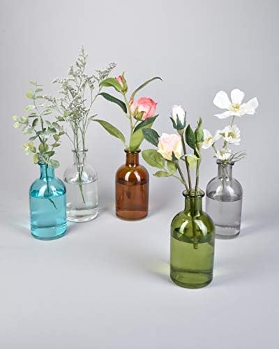 Serene Spaces Living 6 Pack Bud Vases for Decor