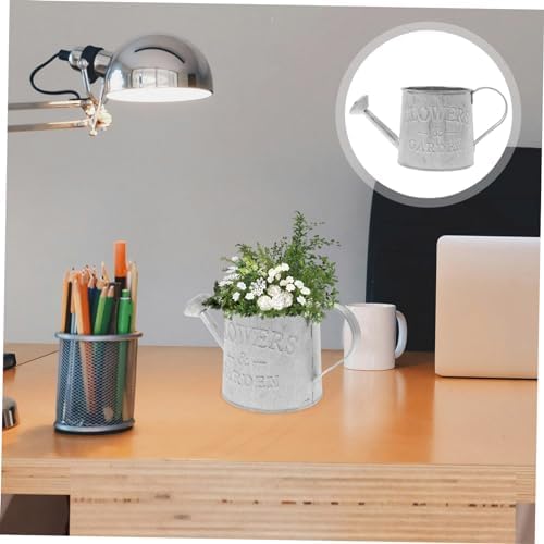 3pcs Rustic Bucket with Handle for Dried Flowers