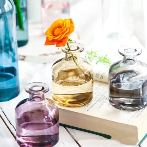 Elegant Glass Diffuser Vase for Aromatherapy and Home Decor