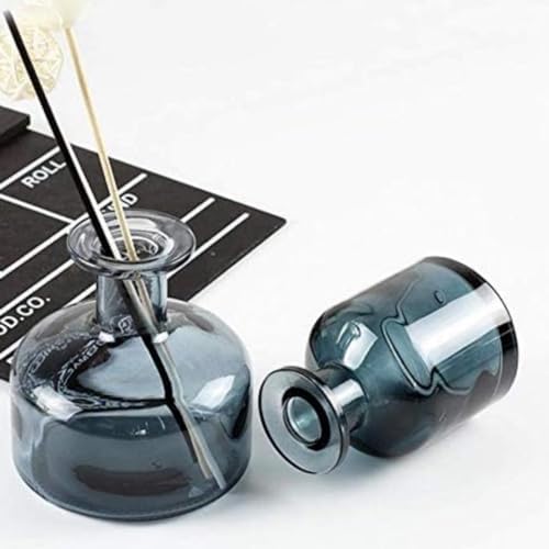 Elegant Glass Diffuser Vase for Aromatherapy and Home Decor