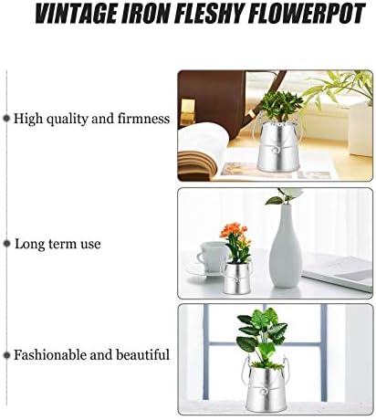 EXCEART 3pcs Retro Iron Flower Bucket Plant Container with Handle
