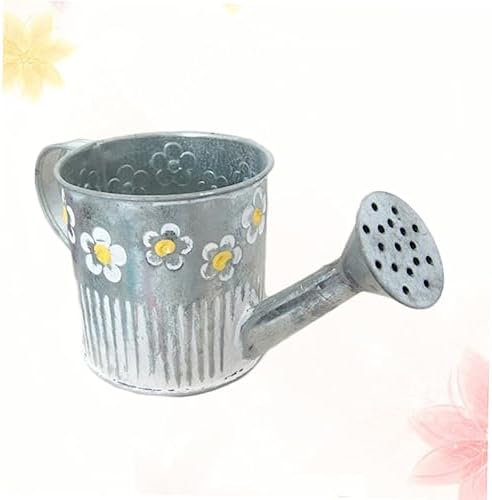 Iron Watering Pot Flower Vase for Home Decor