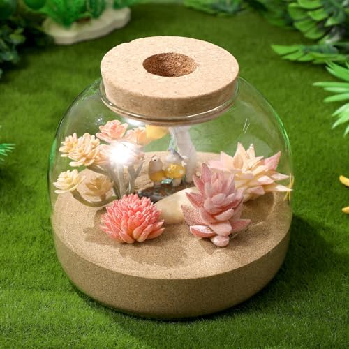 Happyyami Glass Terrarium Jar with Wood Cork