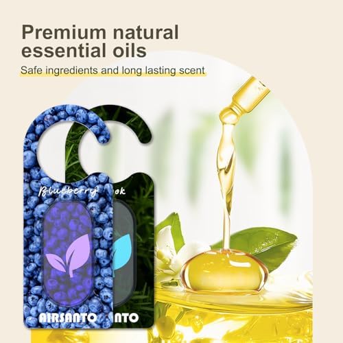 Airsanto Fresh Scent Sachets Pack of 2 Blueberry Brook