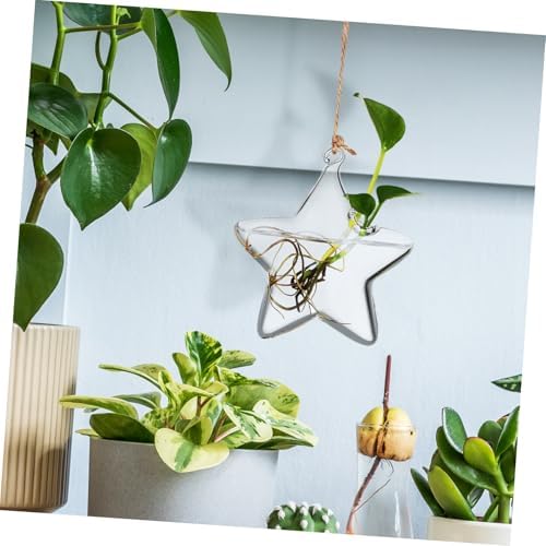 GLEAVI Small Hanging Glass Vase for Fresh Flowers and Dried Arrangements