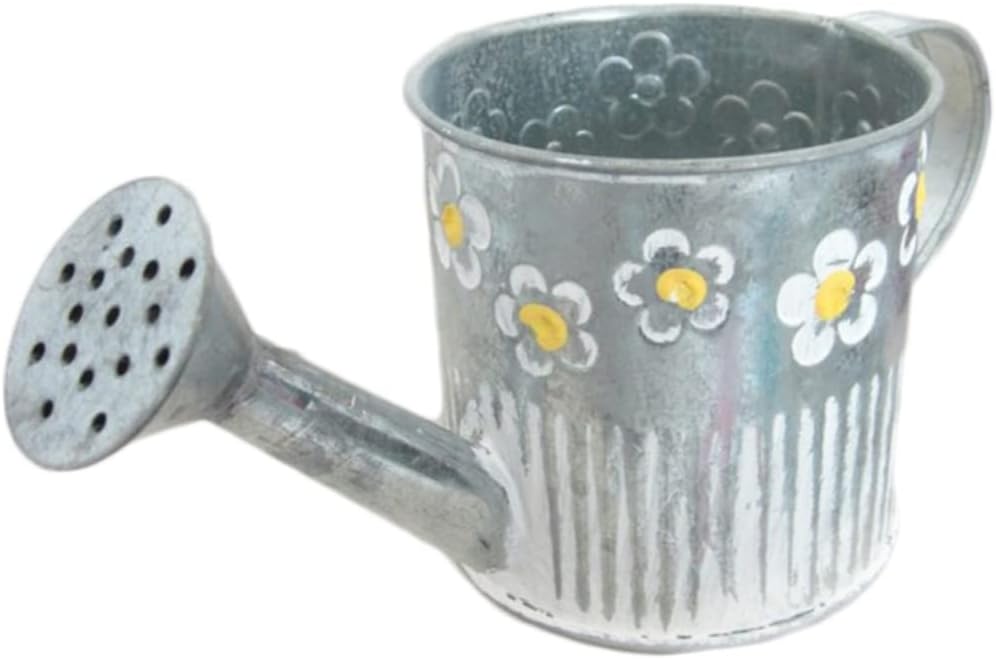 Iron Watering Pot Flower Vase for Home Decor