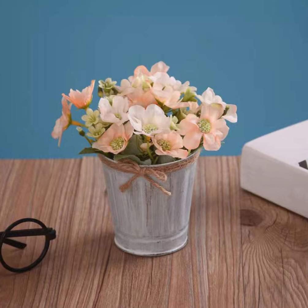 Zerodeko Vintage Iron Bucket Flowerpot Set