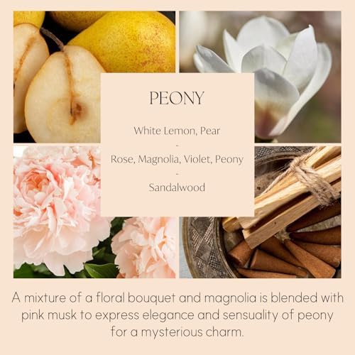 396 St Reed Diffuser Oil Refill Peony 169oz 10 Fiber Reed Sticks