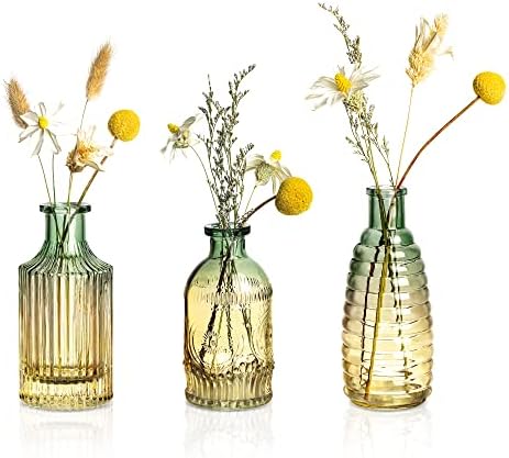 Joeyan Embossed Glass Vase Set of 3 Green and Amber
