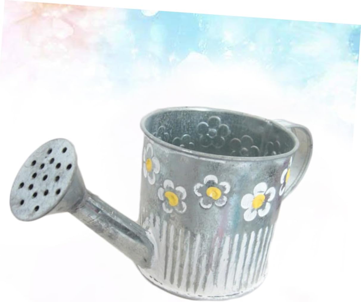 Iron Watering Pot Flower Vase for Home Decor